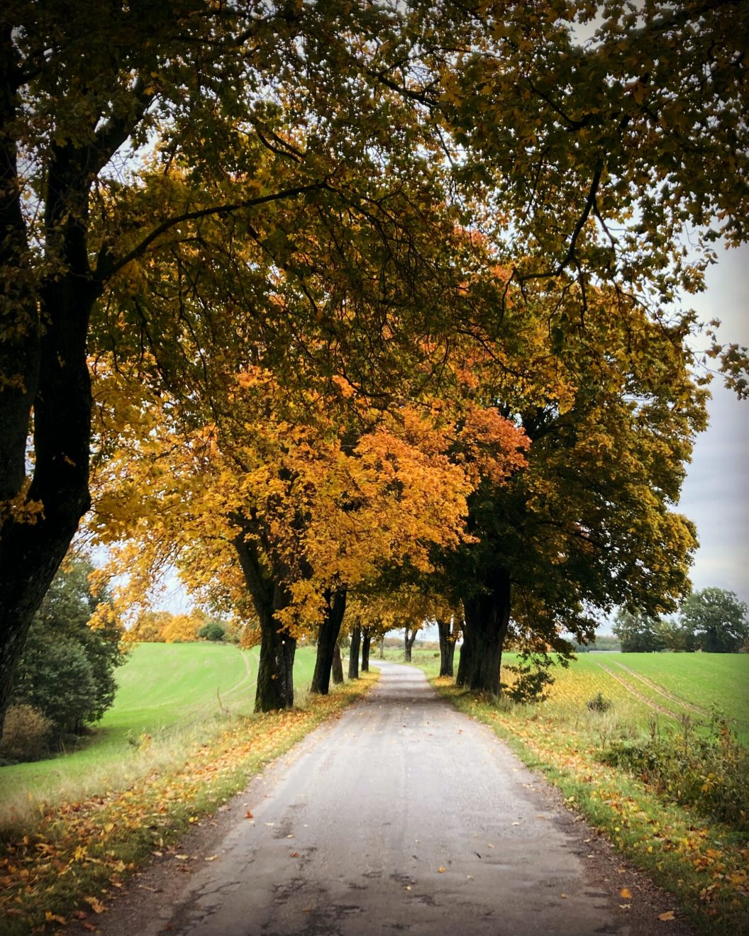 wiejskie drogi jesienią